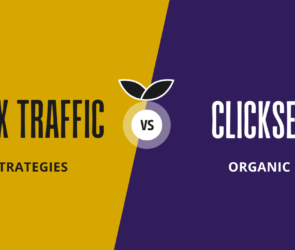 Apex Traffic vs. ClickSEO